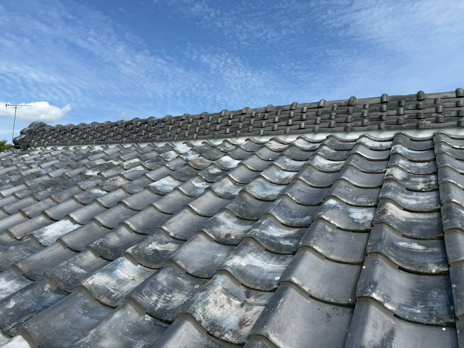 実際の確認写真